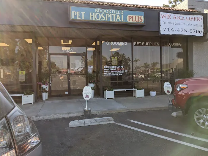 Brookfield Pet Hospital Plus Picture 8