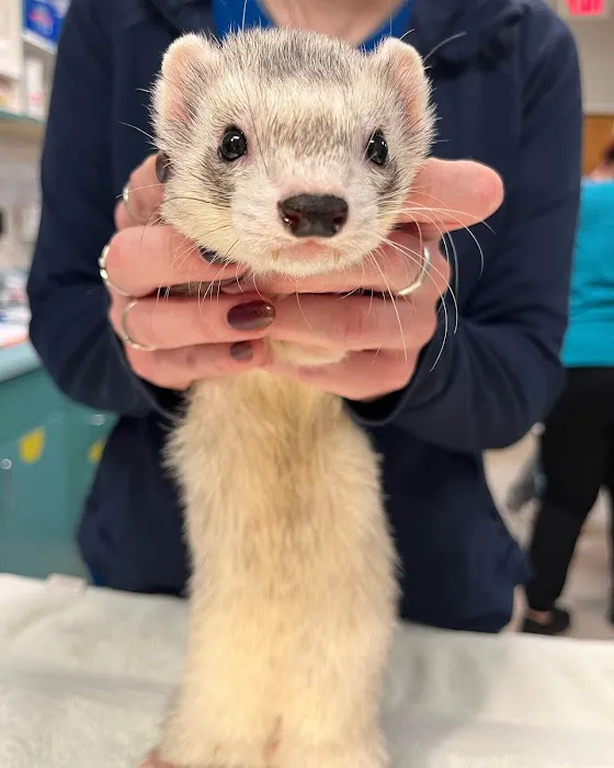 Seacliff Animal Hospital Picture 1