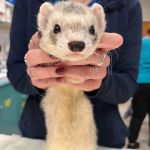 Seacliff Animal Hospital
