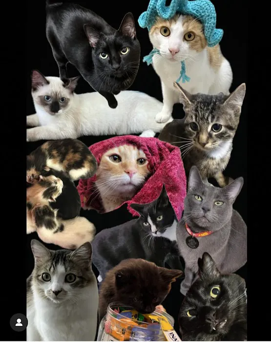 Seacliff Animal Hospital Picture 10