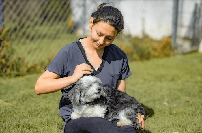 Huntington Beach Veterinary Hospital Picture 9