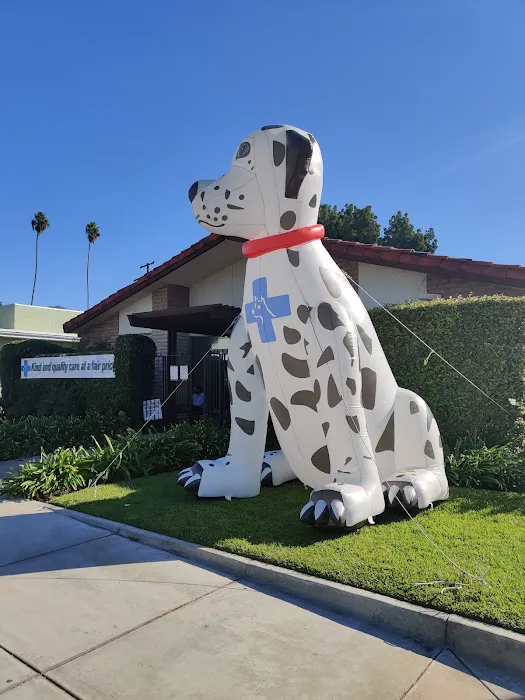 Affordable Animal Hospital: Santa Ana Picture 7