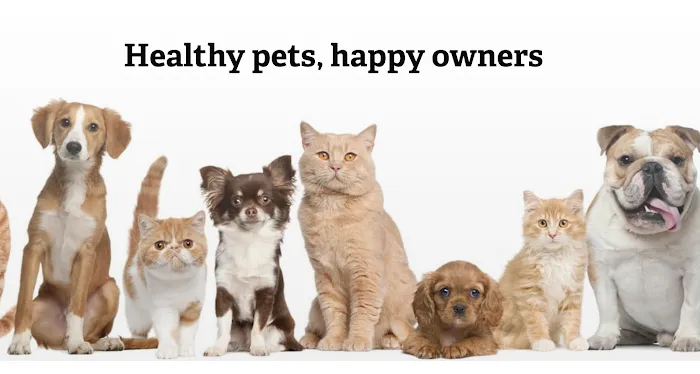 Affordable Animal Hospital: Santa Ana Picture 9