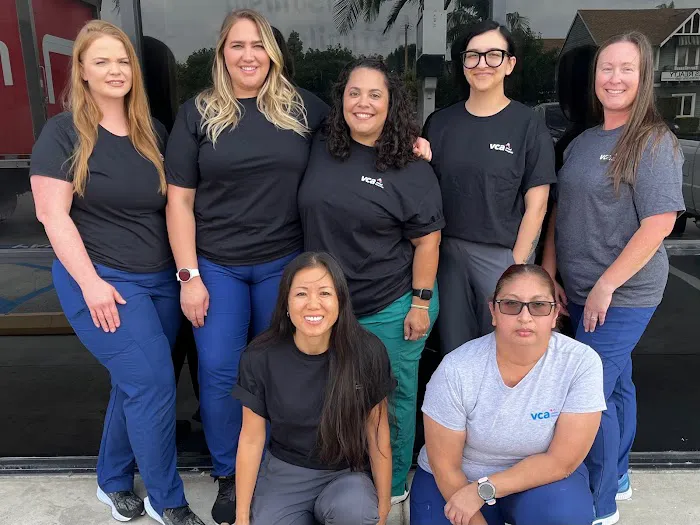 VCA Orange Animal Hospital Picture 2