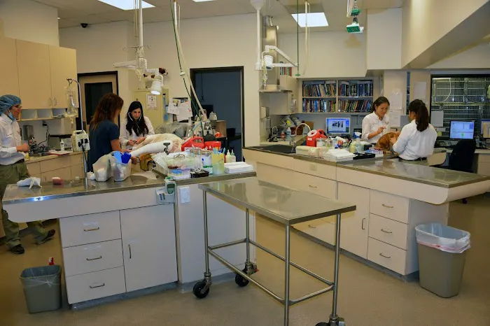 VCA Orange Animal Hospital Picture 8