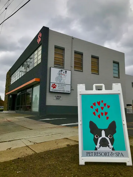 Grand Pet Care Center Picture 1