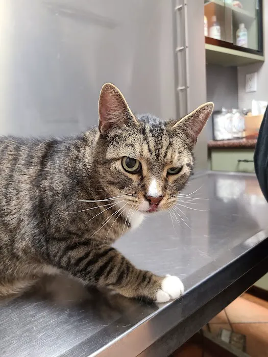 Grand Pet Care Center Picture 6
