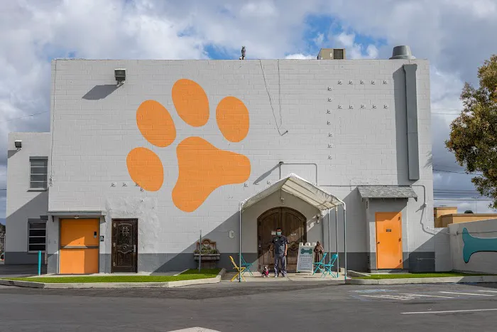 Grand Pet Care Center Picture 5