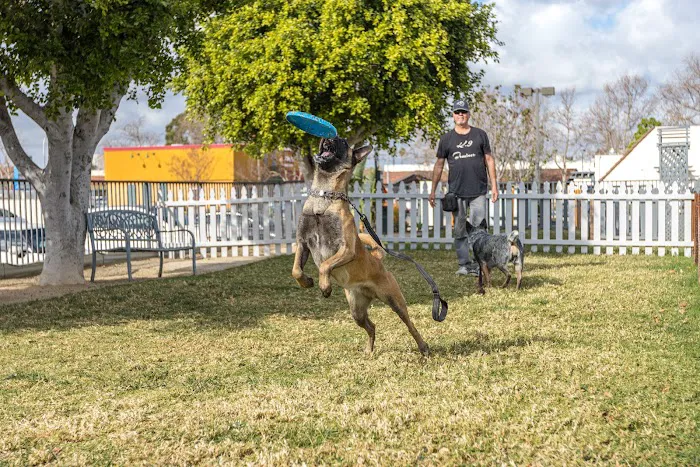 Grand Pet Care Center Picture 10
