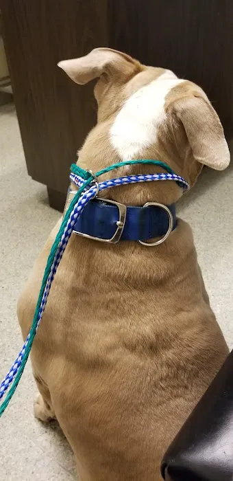 Metropolitan Veterinary Hospital Picture 10