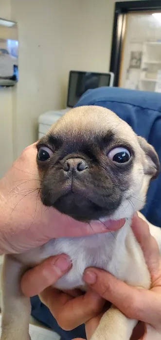 Metropolitan Veterinary Hospital Picture 7