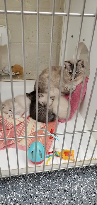 Metropolitan Veterinary Hospital Picture 9