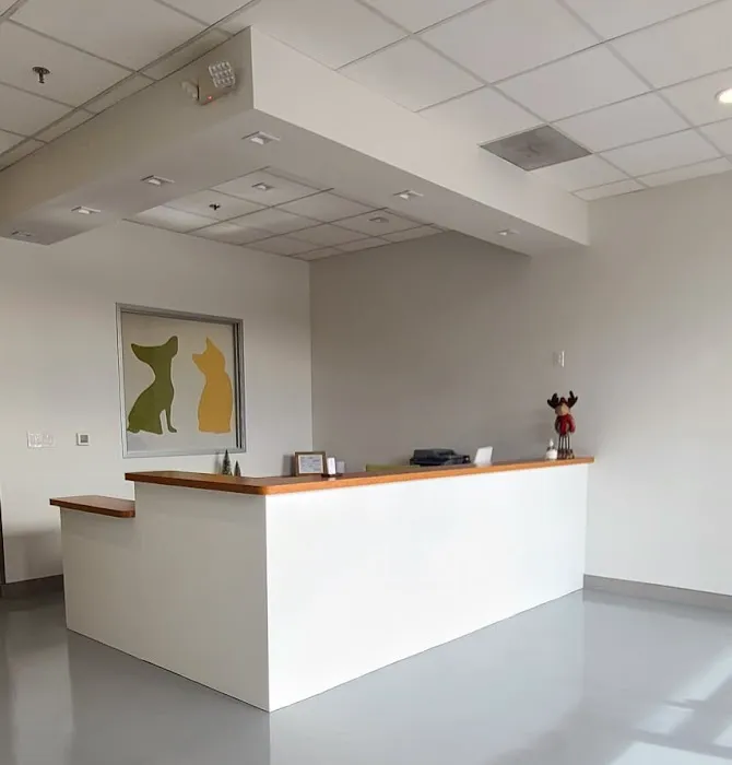 Healthier Pet Veterinary Care Picture 4