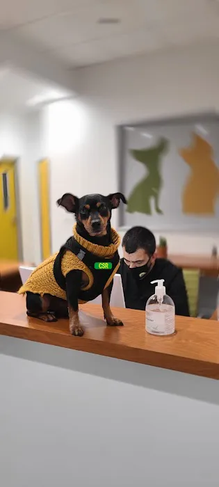 Healthier Pet Veterinary Care Picture 8