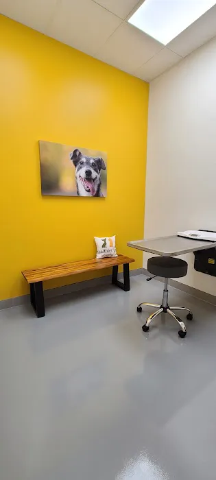 Healthier Pet Veterinary Care Picture 6