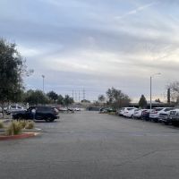 VCA West Coast Specialty and Emergency Animal Hospital ico