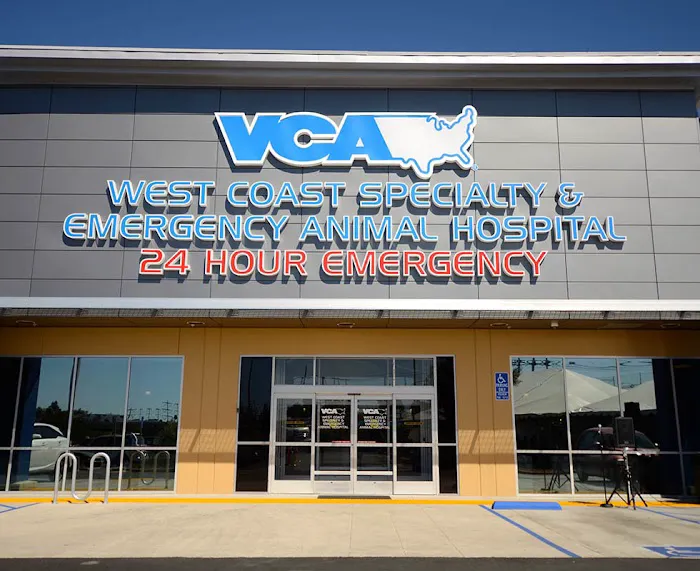 VCA West Coast Specialty and Emergency Animal Hospital Picture 5