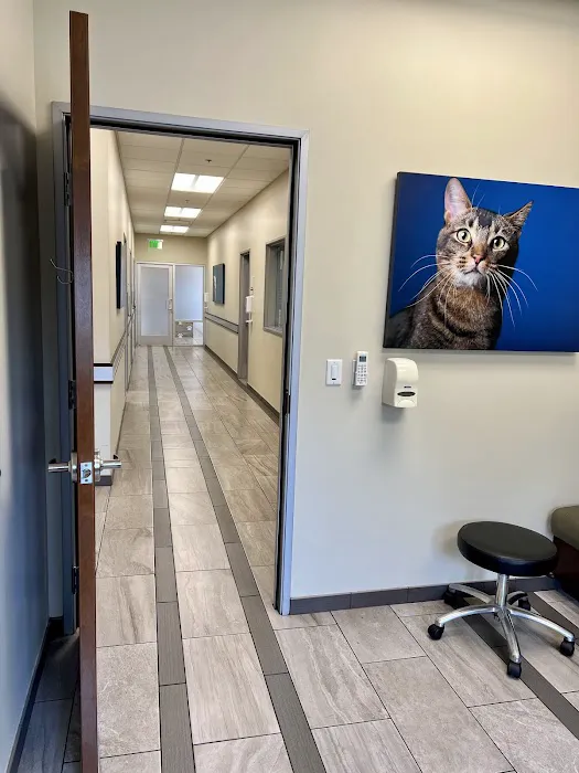 VCA West Coast Specialty and Emergency Animal Hospital Picture 10