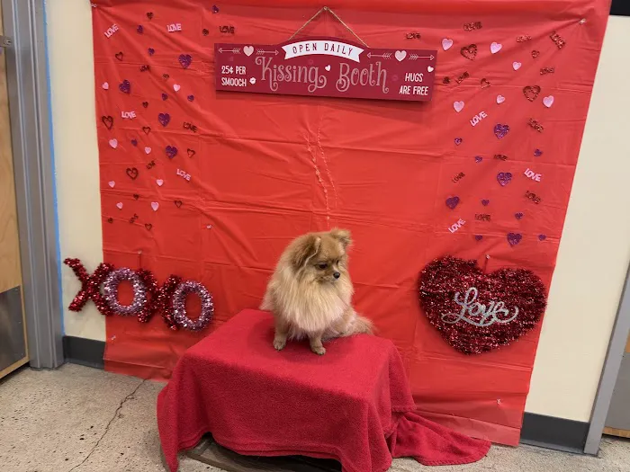 Vetco Total Care Animal Hospital Picture 1