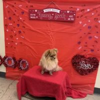 Vetco Total Care Animal Hospital ico