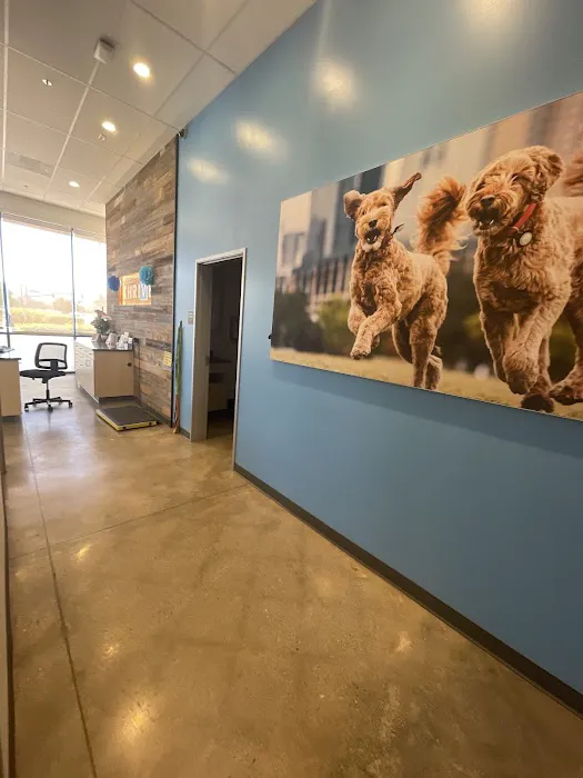 Vetco Total Care Animal Hospital Picture 3