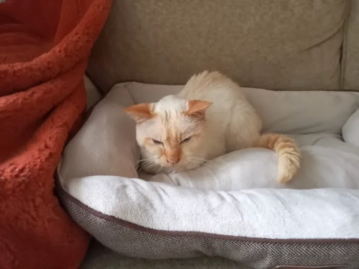 Vetco Total Care Animal Hospital Picture 2