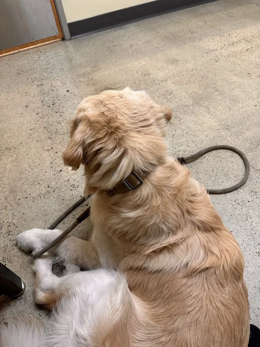 Vetco Total Care Animal Hospital Picture 6