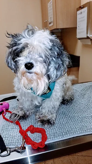 Vetco Total Care Animal Hospital Picture 5