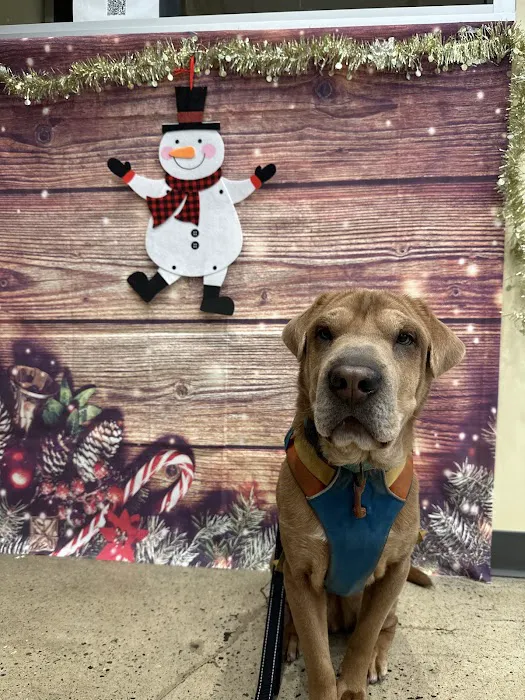 Vetco Total Care Animal Hospital Picture 7