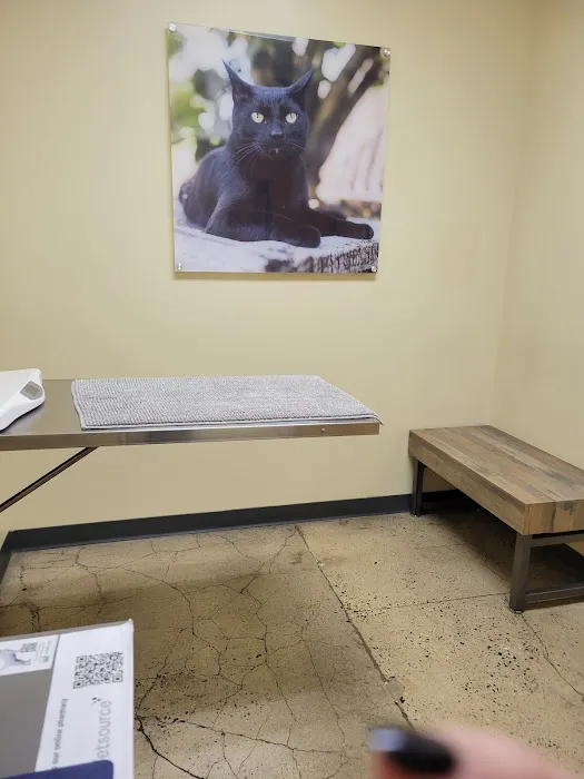 Vetco Total Care Animal Hospital Picture 10