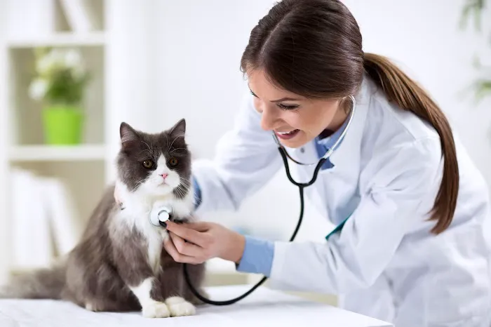 Santa Ana Veterinary Hospital Picture 1