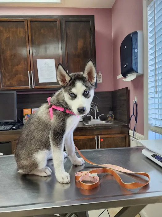 Santa Ana Veterinary Hospital Picture 2