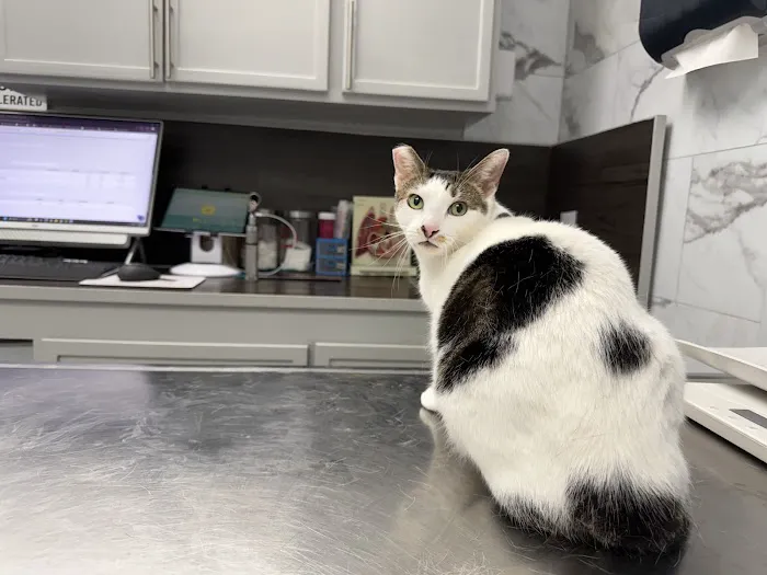 Santa Ana Veterinary Hospital Picture 9