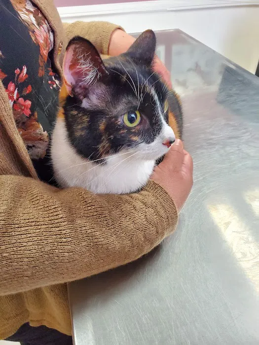 Santa Ana Veterinary Hospital Picture 8
