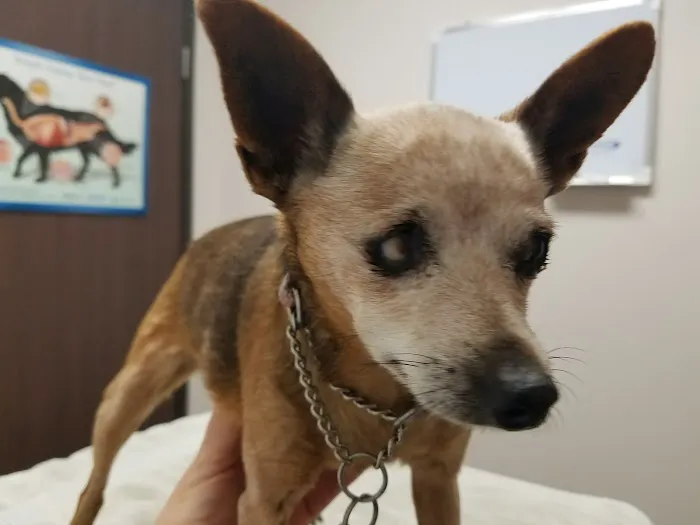 Riverdale Animal Hospital Picture 5