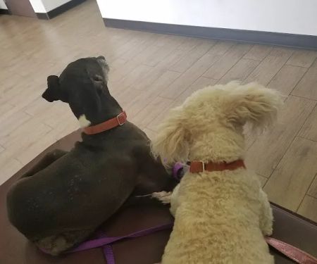 Riverdale Animal Hospital