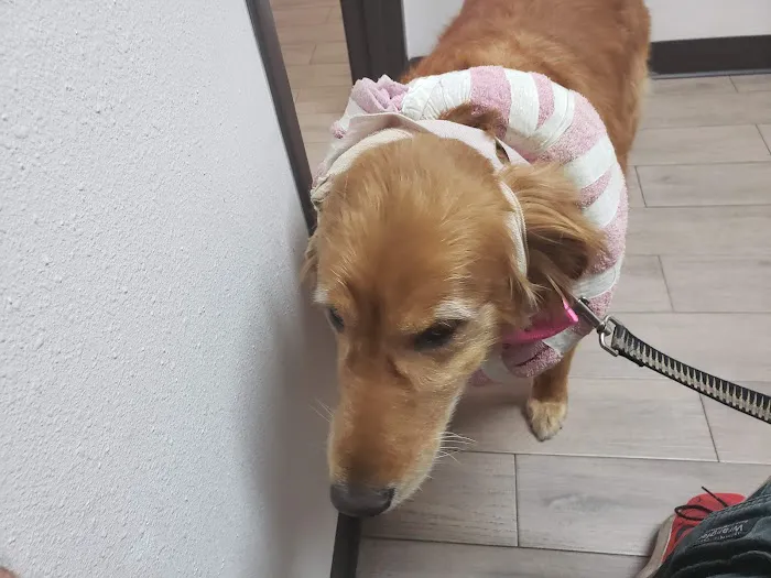 Riverdale Animal Hospital Picture 3
