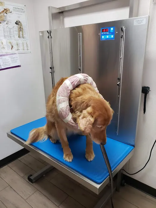 Riverdale Animal Hospital Picture 9