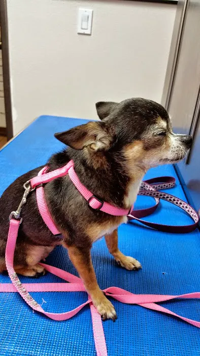 Riverdale Animal Hospital Picture 10