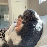 Surf City Pet Hospital ico