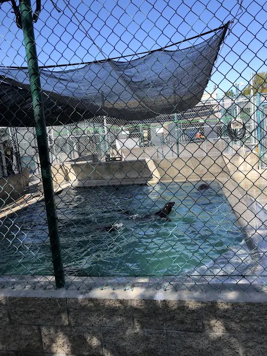 Marine Mammal Care Center Picture 2