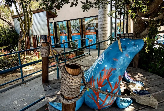 Marine Mammal Care Center Picture 3