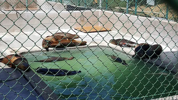 Marine Mammal Care Center Picture 1