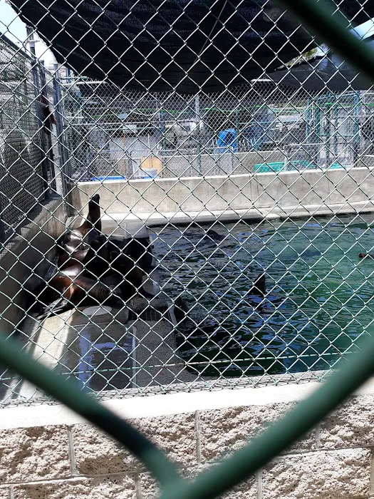 Marine Mammal Care Center Picture 4