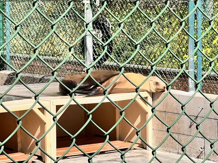 Marine Mammal Care Center Picture 6
