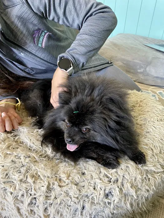 Integrative Pet Wellness Center Picture 1