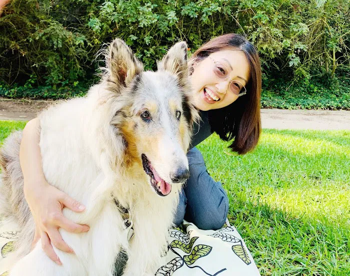 Integrative Pet Wellness Center Picture 4