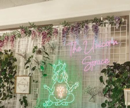 The Unicorn Space
