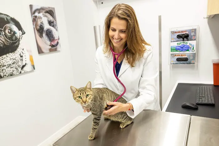 Peninsula Center Pet Hospital Picture 3