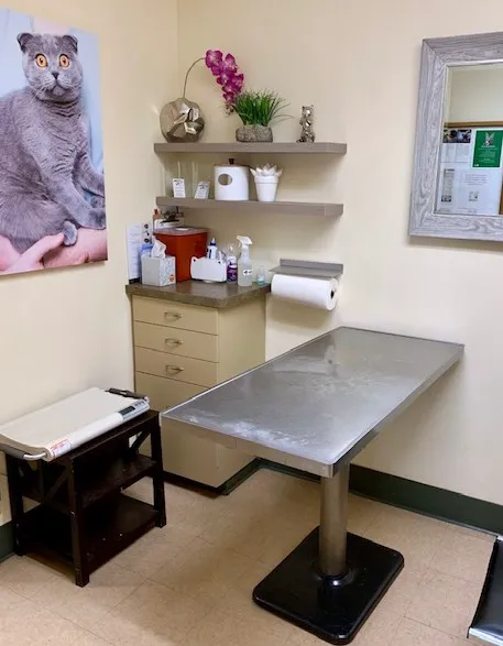 Peninsula Center Pet Hospital Picture 5